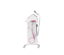 Load image into Gallery viewer, Niansheng New Product H2O2 HYDRAGIRL Skin Care Beauty Machine