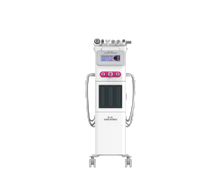 Load image into Gallery viewer, Niansheng New Product H2O2  Facial Hydroge &amp; Oxygen Skin Care Beauty Machine
